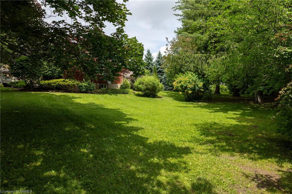 Expansive verdant lawn surrounded by mature trees and varied shrubbery