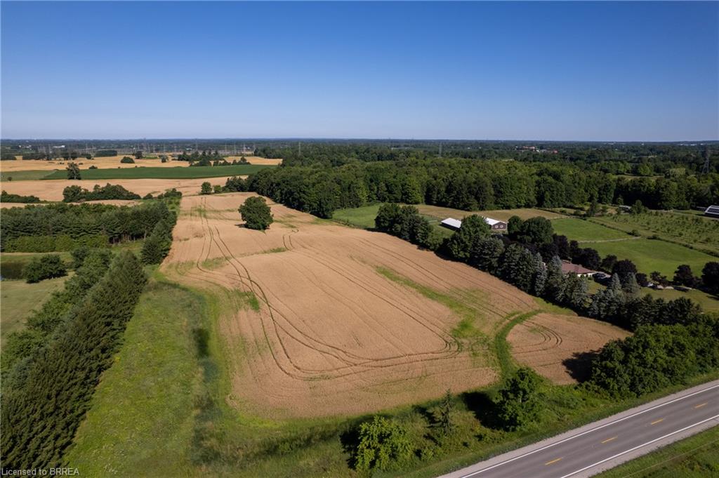 Expansive agricultural land featuring a golden field, mature tree lines, a single prominent tree, and a paved road bordering the property