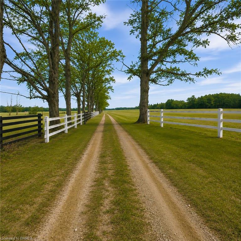 Gravel drive bordered by mature trees and white post-and-rail fencing