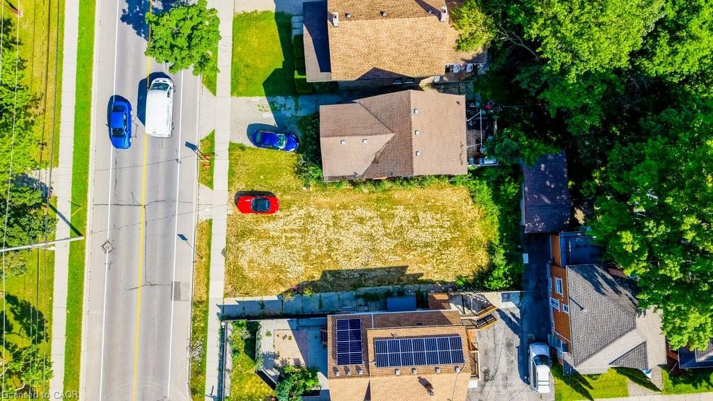 Expansive lot featuring a cleared building envelope, mature perimeter trees, and direct road frontage