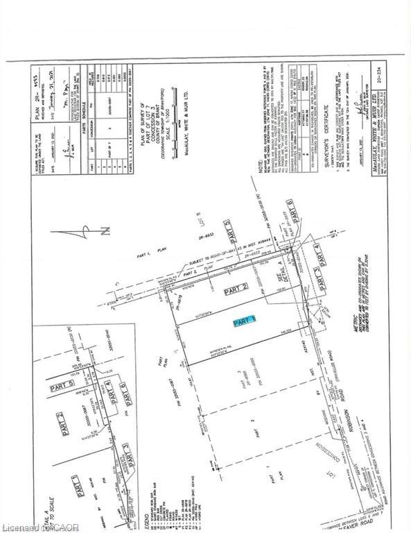 Survey Plan. Outlining the division and dimensions of multiple parcels within the property
