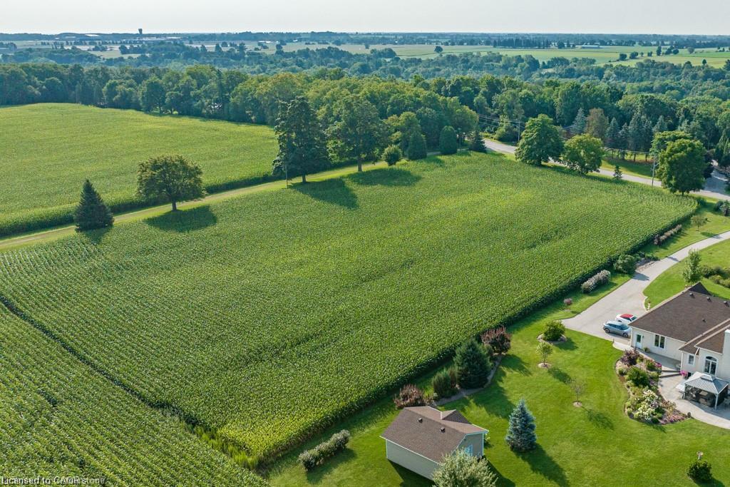 Picturesque rural estate featuring expansive manicured grounds with mature tree-lined perimeter, productive agricultural fields, and a substantial residence with brown roof detailing set on verdant acreage