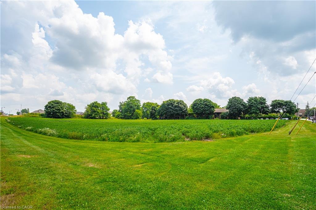 Expansive green space featuring a level, mown lawn and verdant foliage