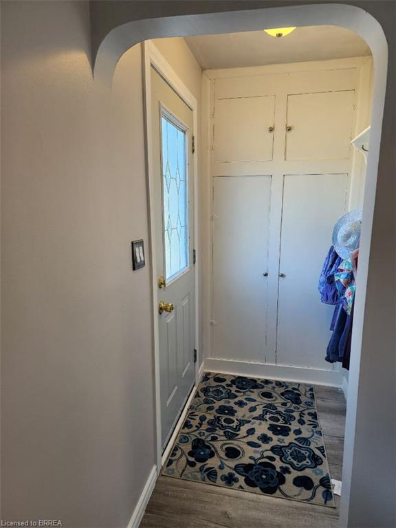 Bright entryway with rounded archway framing, wood-finish flooring, decorative area rug, dual closet doors with shaker-style paneling, and recessed ceiling lighting