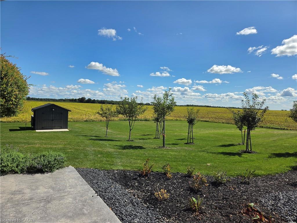 Expansive green lawn, established trees, and dark-stained storage shed